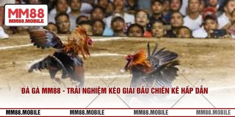 Cập nhật các mẹo soi kèo chính xác để bạn áp dụng ngay